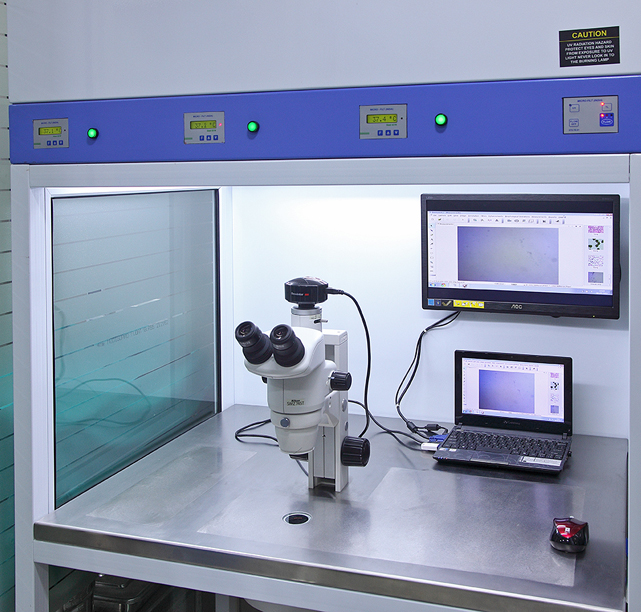 Male Fertility Treatment cost India