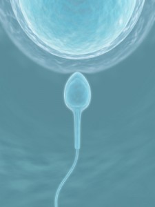 ivf in india