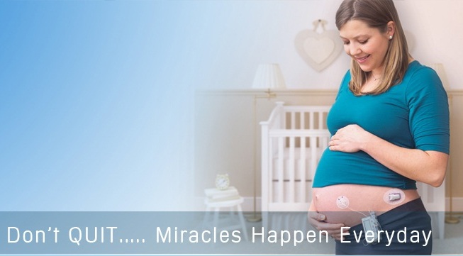 Foods Help Get Pregnant