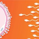 Male Infertility in India