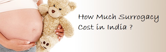 Cost Details of Surrogacy