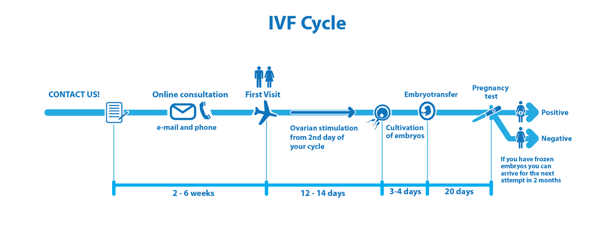 IVF treatment process