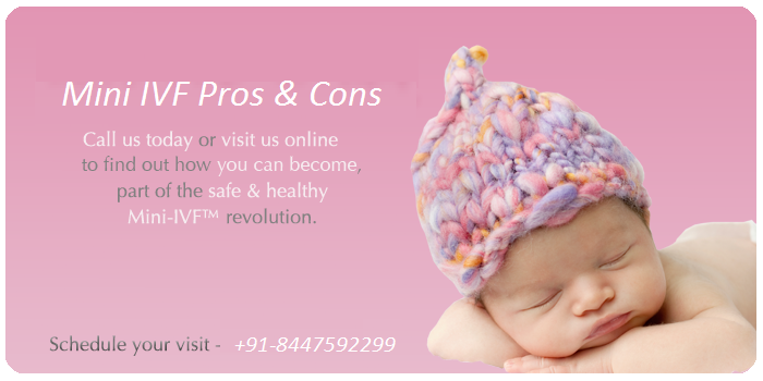 Mini IVF