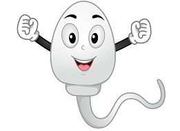 sperm