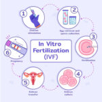 best IVF centre in Thailand