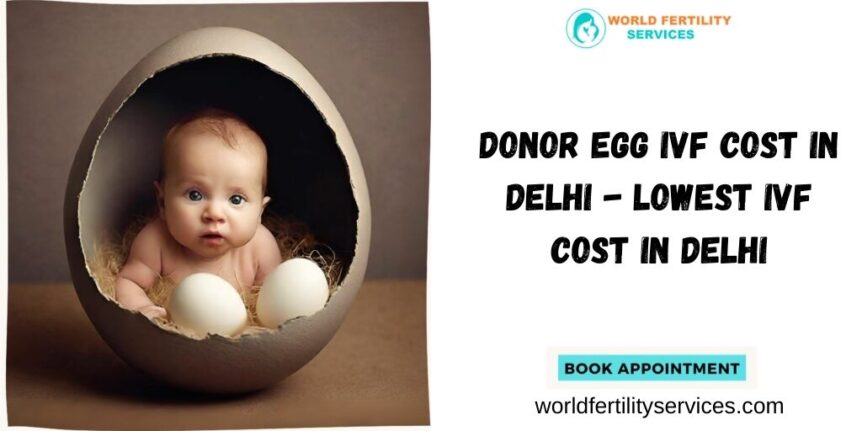 Donor Egg IVF Cost In Delhi