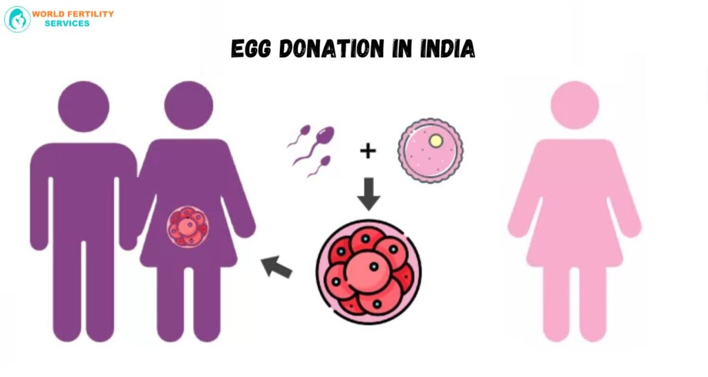 Egg Donation In India