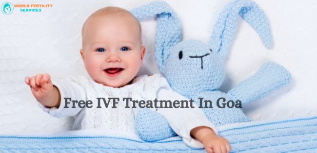 Free IVF Treatment In Goa