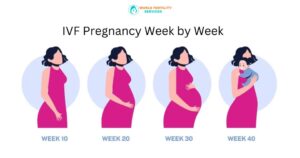 IVF Pregnancy