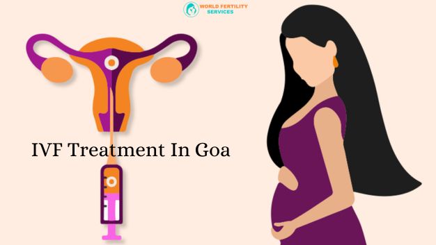 IVF Treatment In Goa