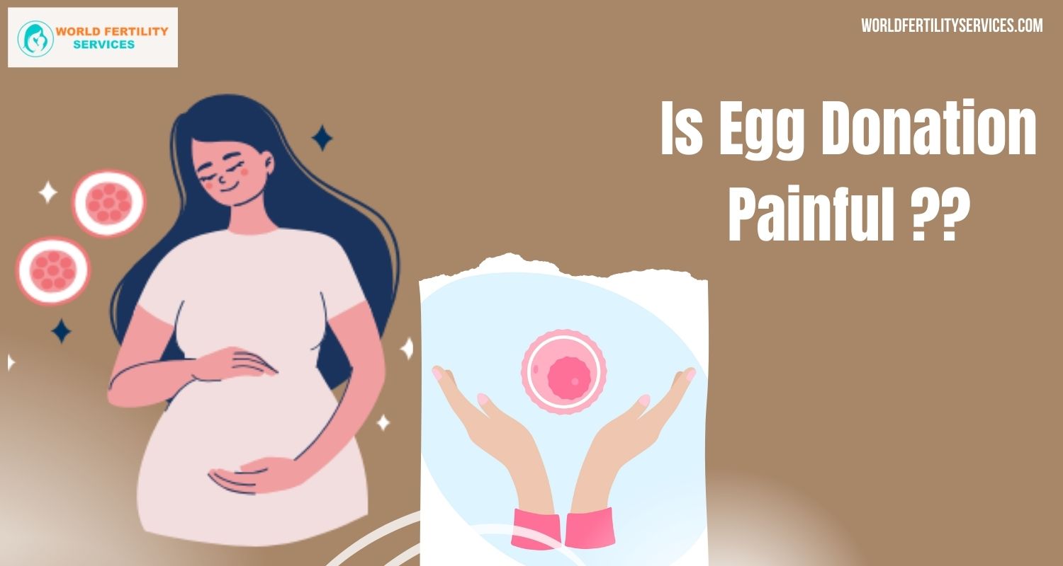 Is Egg Donation Painful