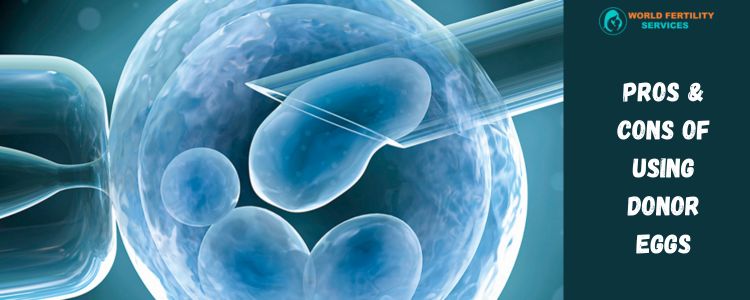 Pros & Cons Of Using Donor Eggs