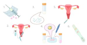 Cost Of IVF Injections In India