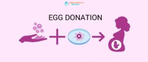 egg donation