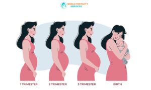 Successful IVF Treatment