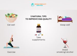 Improve Egg Quality In Perimenopause
