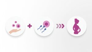 Donor Eggs In IVF Treatment In India