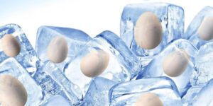 Egg Freezing Costs In Nepal