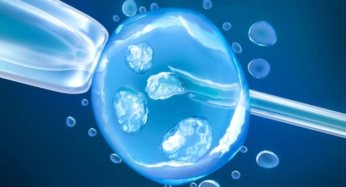 Egg Freezing In Nepal