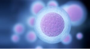 Freezing Eggs In Nepal