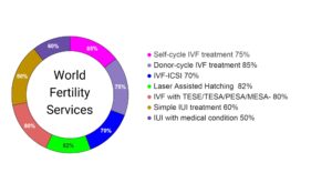 IVF Highest Success Rate In Ludhiana