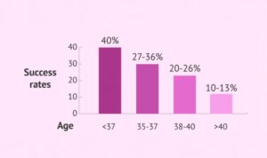 IVF Success Rate