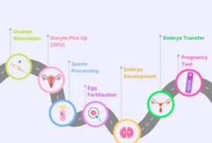 IVF With Donor Egg Process Step By Step 