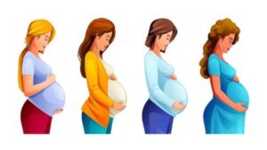 India’s IVF Success Rate By Age