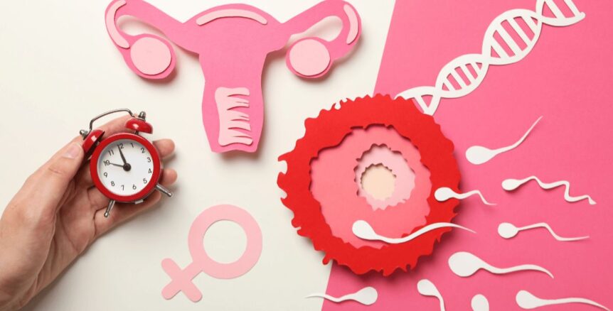 Perimenopause And IVF With Donor Egg