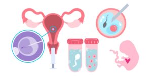 Perimenopause And IVF With Donor Egg in India