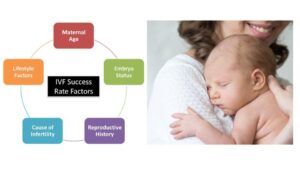 Success Rate In IVF Treatment In Karachi Pakistan