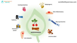 Infertility Treatment For Female

