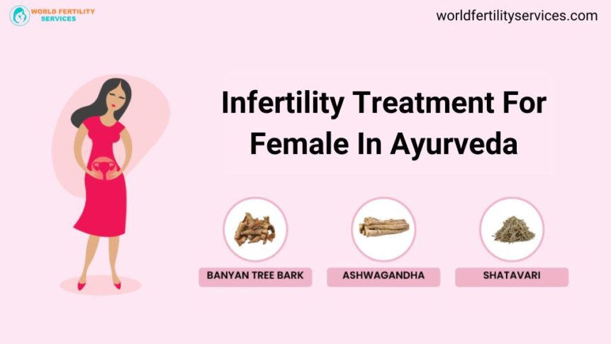 Infertility Treatment For Female In Ayurveda