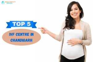 Top 5 IVF Centre In Chandigarh