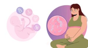 Chromosomal Abnormalities In Pregnancy