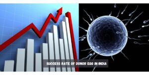 Success Rate Of Donor Egg in India