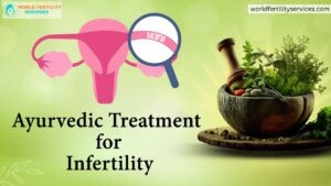 Infertility Treatment For Female In Ayurveda