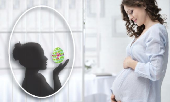 female celebrities who used donor eggs