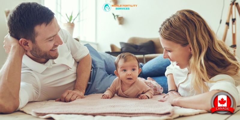 IVF In India Vs Canada