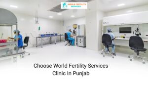 World Fertility Services Clinic In Punjab
