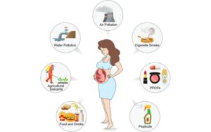 Cutting Down On Hazardous Chemical Exposure