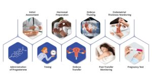 IVF Embryo Transfer Diet Chart