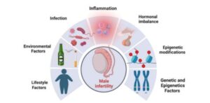 ICSI Treatment For Male Infertility 