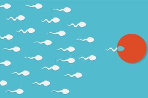 Success Rate In Male Sperm Infertility