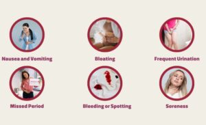 Symptoms Of A Successful Embryo Transfer