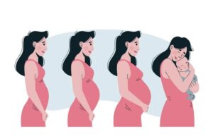 IVF Highest Success Rate In India