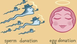 Egg Or Sperm Donation In Faridabad