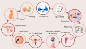 Surrogacy Process In Delhi NCR
