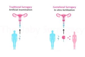 Gestational and Traditional Surrogates in Kenya
