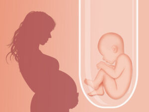 Test Tube Baby Cost in Gurgaon